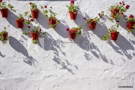 Picture of Streets corners and details of marbellaSpain
